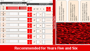 ks2_maths_number_fractions_equivalent_eighths_top