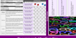 ks1_maths_y1_t1_unit_a_counting_grouping_04_top