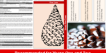 ks1_special_topics_christmas_art_design_snowy_pine_cones_top