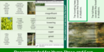 ks2_english_vocabulary_forest_words_top