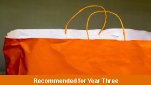 ks2_maths_y3_t3_unit_c_shopping_trips_top