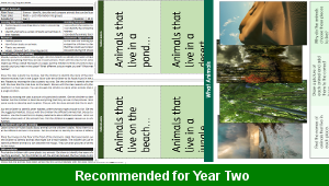 ks1_science_y2_jungles_01_top