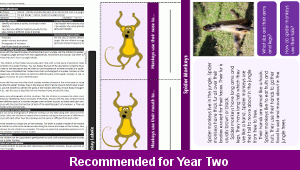 ks1_science_y2_jungles_03_top