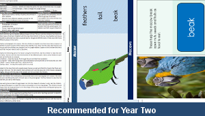 ks1_science_y2_jungles_04_top