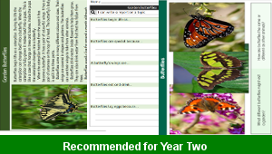 ks1_english_writing_composition_reports_garden_butterflies_top