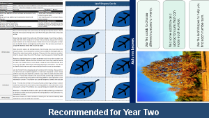 ks1_maths_number_addition_autumn_leaves_top