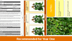 ks1_science_y1_plants_05_top