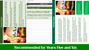 ks2_english_persuasive_writing_bonfire_foods_top