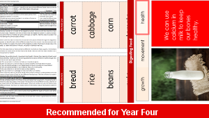 ks2_science_y4_digestion_04_top