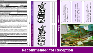 fs_literacy_term_three_unit_c_chameleons_05_top