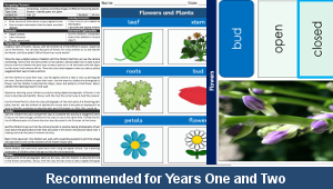 ks1_computing_flower_gallery_01_top