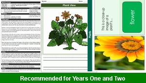 ks1_computing_flower_gallery_03_top