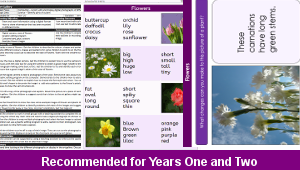 ks1_computing_flower_gallery_06_top