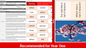 ks1_english_puncutation_questions_spring_questions_top