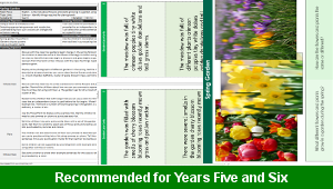 ks2_english_punctuation_colons_spring_garden_top