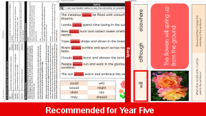 ks2_english_y5_t3_environment_unit_e_02_top