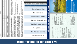 ks2_english_y5_t3_environment_unit_e_04_top