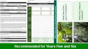 ks2_computing_rainforest_presentations_01_top