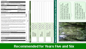 ks2_computing_rainforest_presentations_06_top