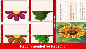 fs_numeracy_number_fractions_flowers_trees_top
