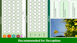fs_numeracy_statistics_pictograms_school_flowers_top