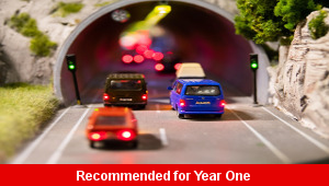 Vehicle Numbers