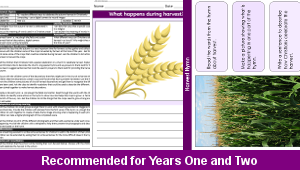 ks1_re_harvest_04_top