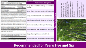 ks2_geography_rainforest_conservation_03_top