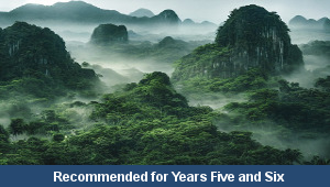 Rainforest Conservation