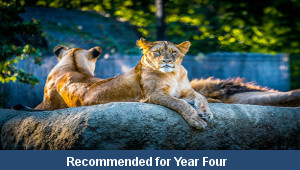 Zoo Animals