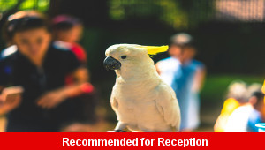 Zoo Visit