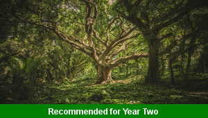 Forests