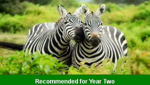 Animal Lists