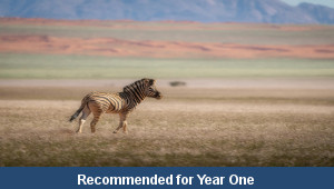 African Plain